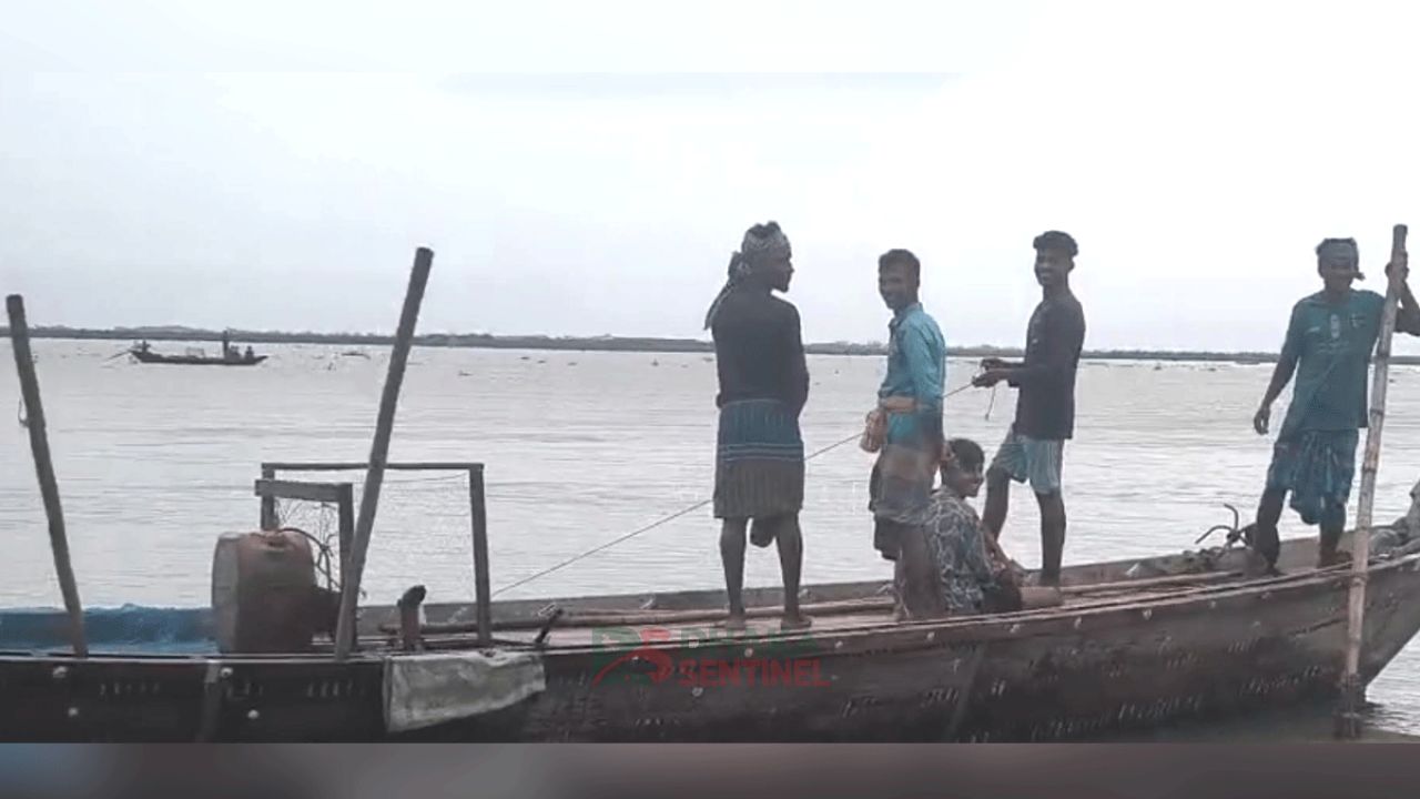 নিষেধাজ্ঞার মধ্যেও শরীয়তপুরে মা ইলিশ শিকার-বিক্রি