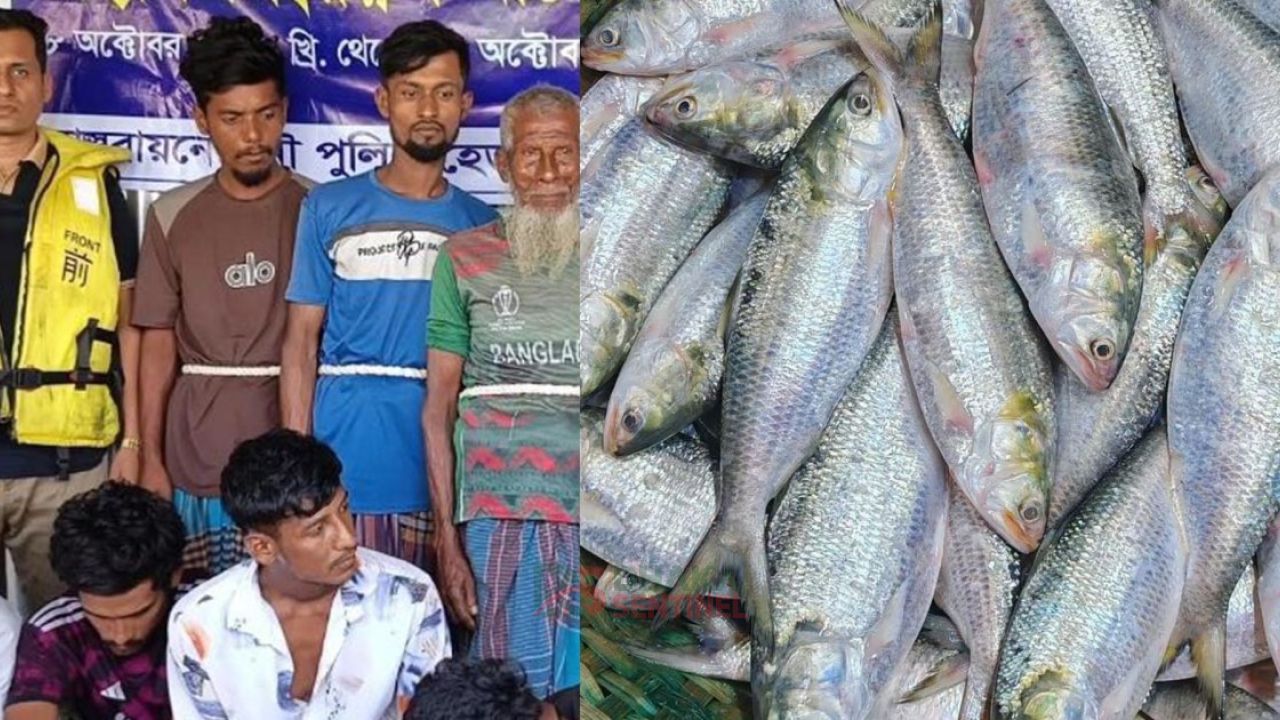 একসঙ্গে ২৫ জেলে আটক, ৮০ কেজি ইলিশ গেলো এতিমখানায়